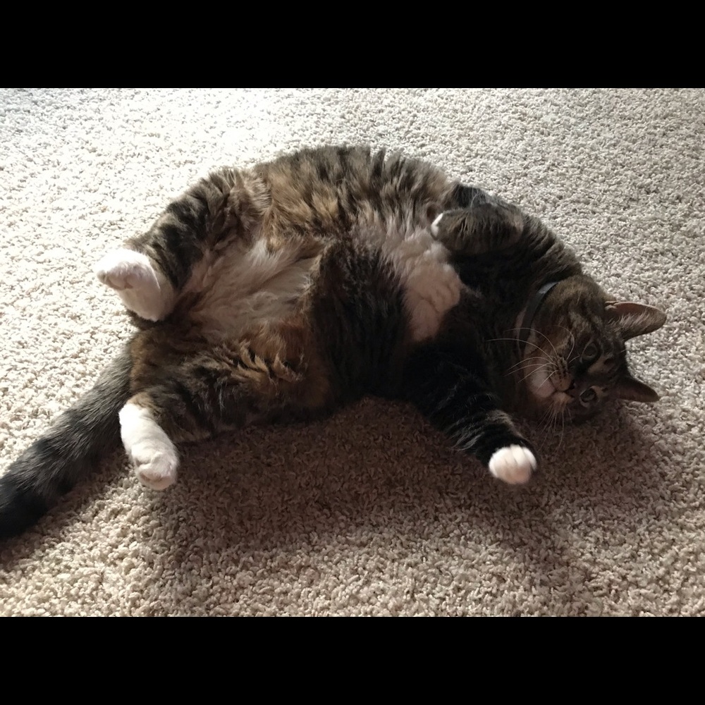 Meet your Posher, Lesia